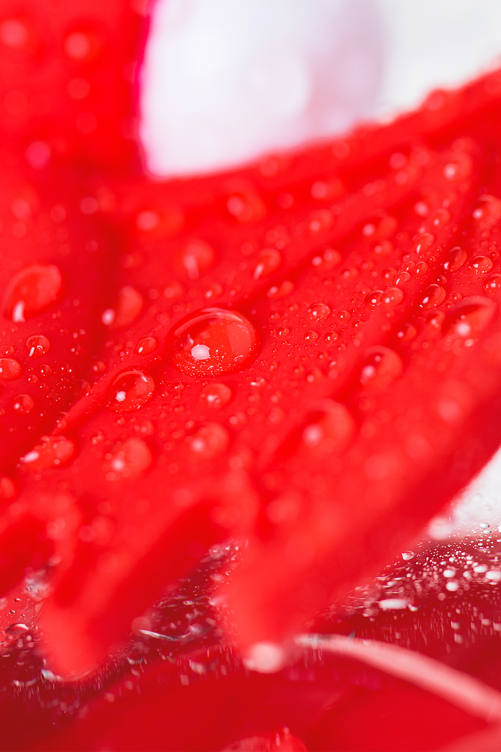 Эрекционное кольцо на пенис JOS  SWEET DEVIL, Силикон, Красный, 8,5 см